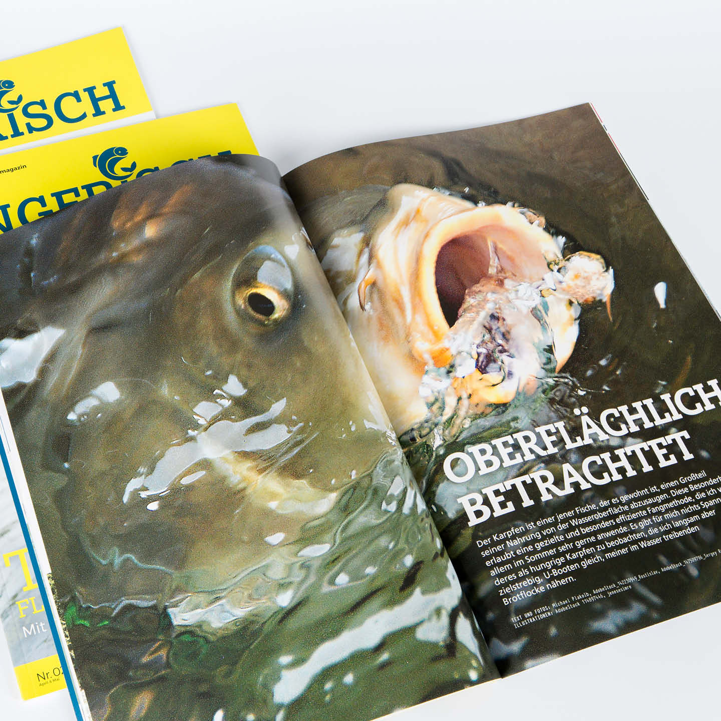 Fangfischee Magazinseiten Grafiker Wels Oberösterreich