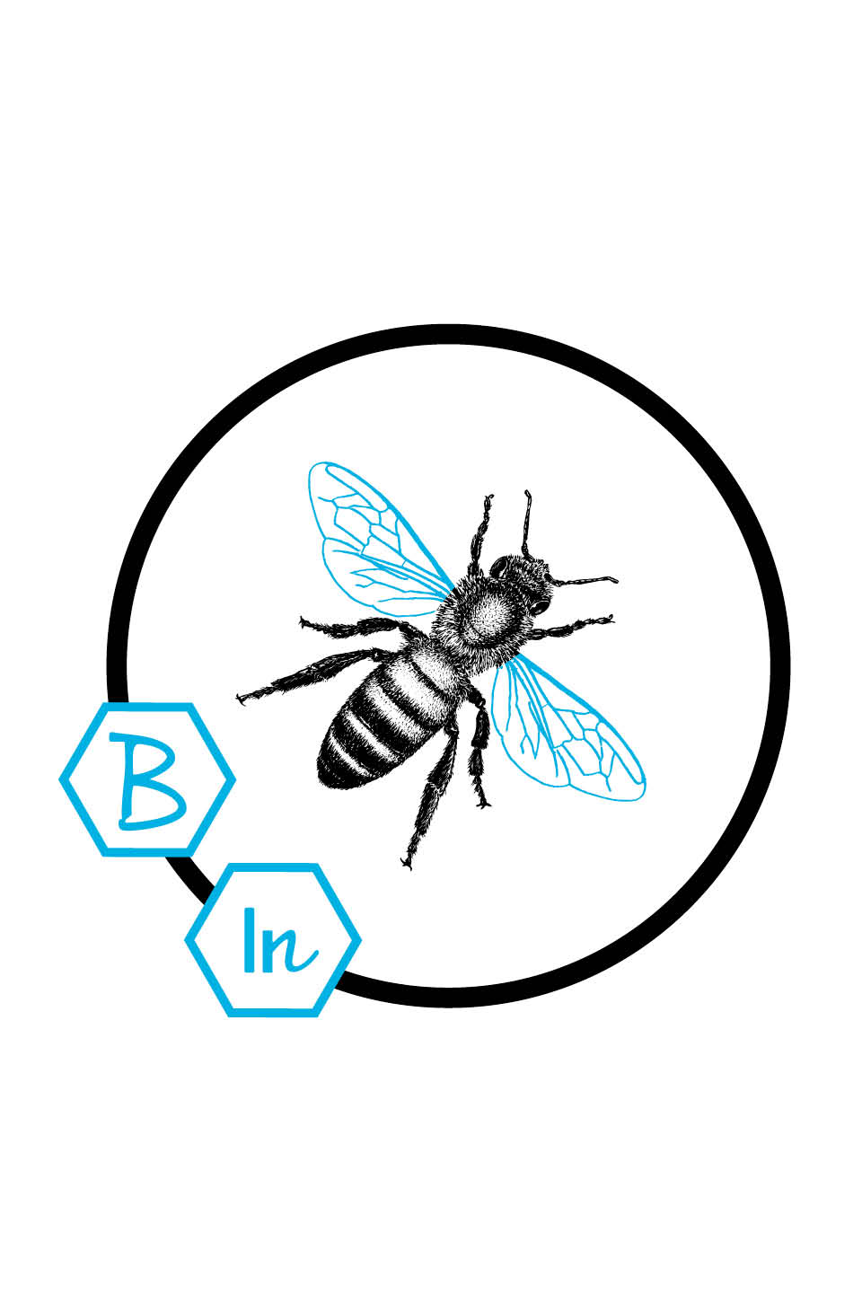 Logo Verpackungen Kosmetikserie