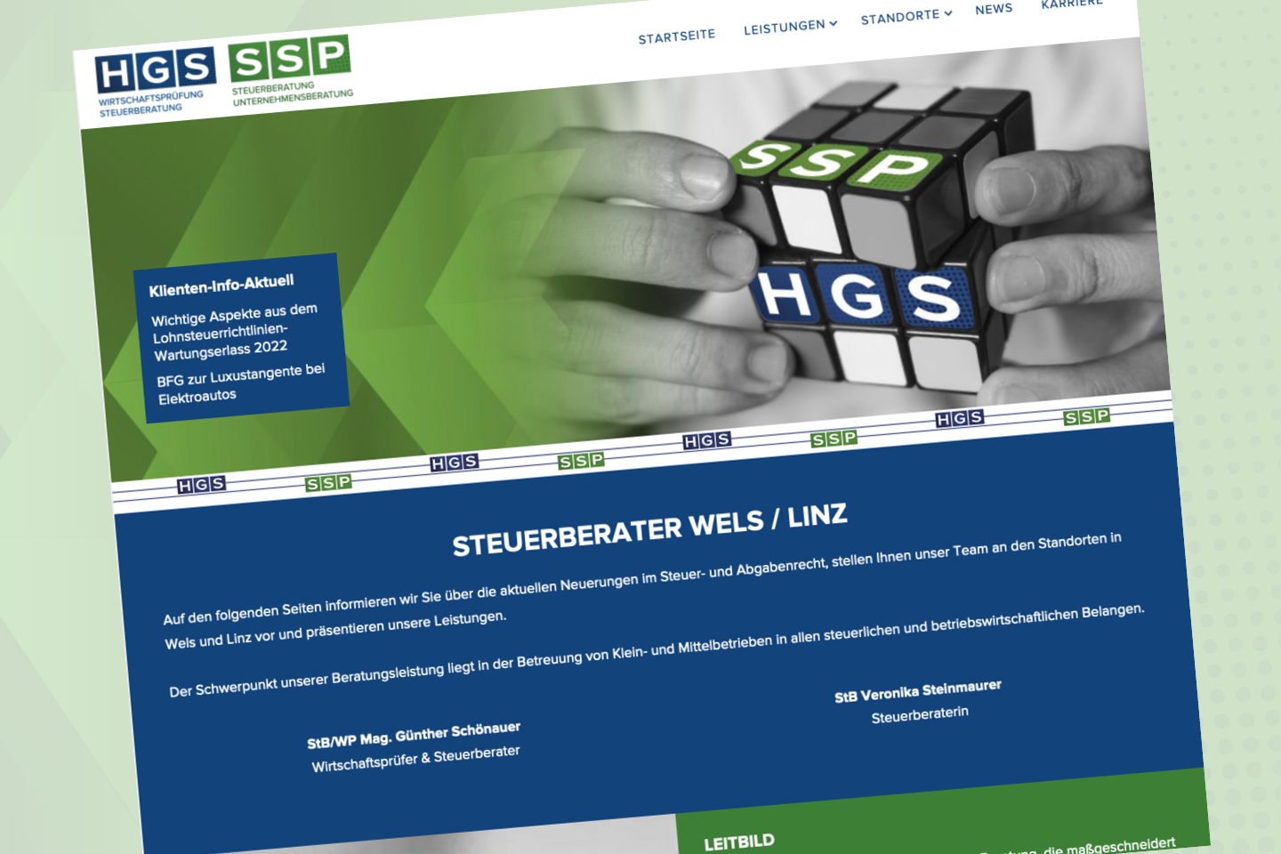 HGS SSP Logo Drucksorten Höglinger Design 4