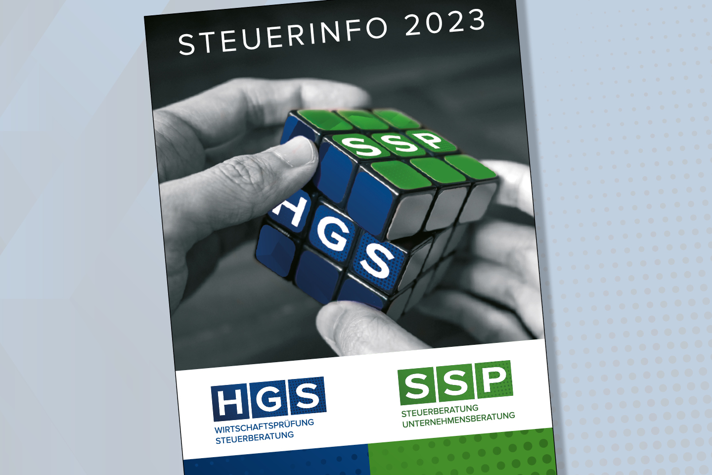HGS SSP Logo Drucksorten Höglinger Design 5